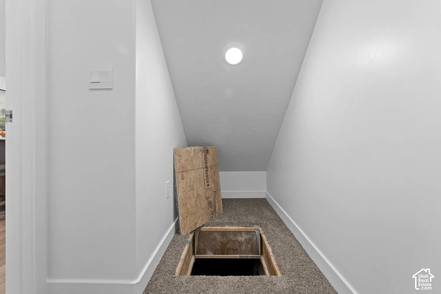 Storage area featuring neutral carpeting, sloped ceiling, recessed lighting, and a floor access panel