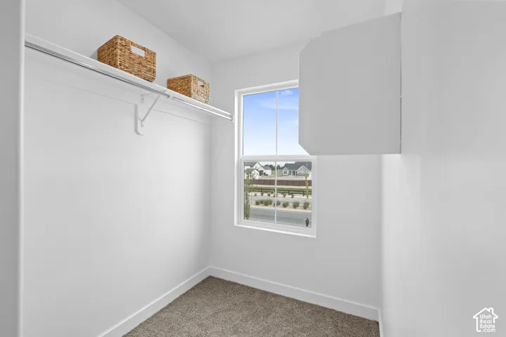 Walk-in storage space featuring neutral carpeting, a single-tier wire shelving system, and a single-pane window