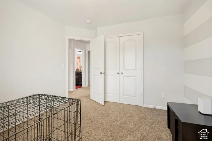 Interior room featuring neutral carpeting, a double-door closet with arched panel detailing, and a multi-toned horizontal stripe accent wall