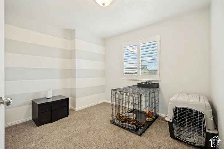 Neutral-toned room featuring patterned accent wall, carpeted flooring, and window with attached plantation shutters