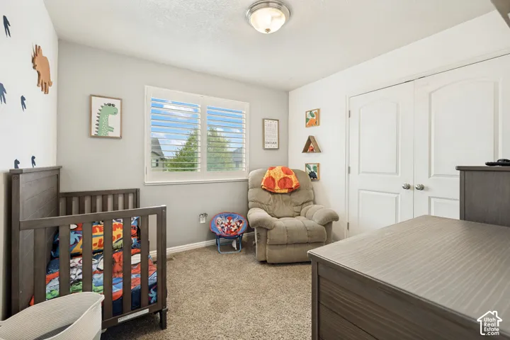 Neutral-toned room featuring plush carpeting, plantation shutters, dual-panel closet doors with satin-nickel hardware, and a flush-mount ceiling light fixture