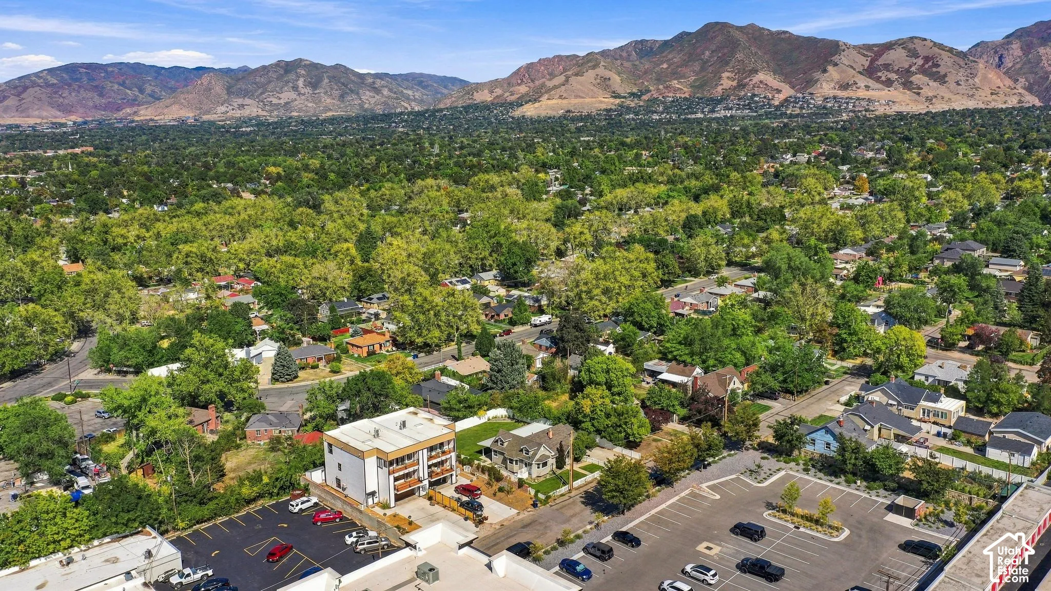 Expansive urban landscape with lush tree canopy and distant mountains