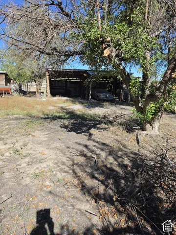 Open-air detached carport with metal roof and mature shade trees