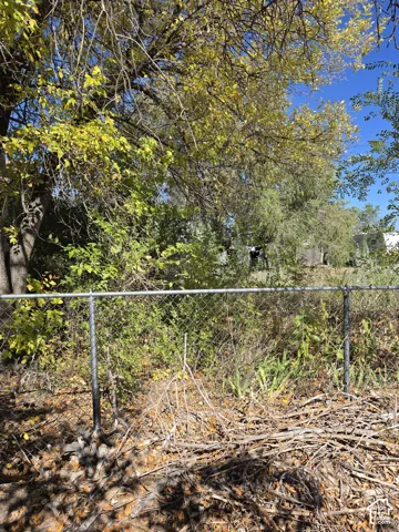 Chain-link perimeter fencing surrounding a lot featuring mature trees and established natural vegetation