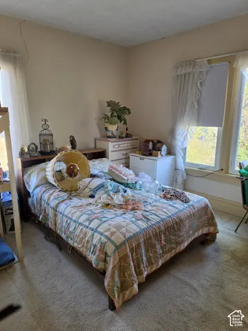 Room featuring carpeting, neutral wall color, and windows with paneled trim