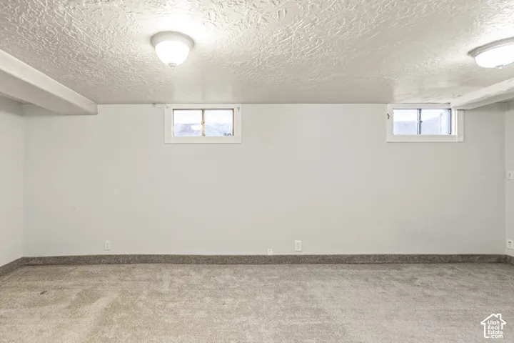 Neutral-toned wall-to-wall carpeting, textured ceiling, two dual-pane sliding windows, and surface-mounted dome light fixtures