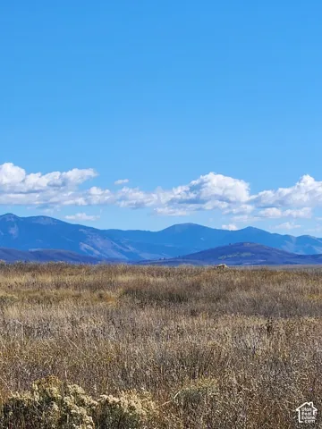 Expansive natural landscape featuring dry native grasses and prominent mountain silhouettes