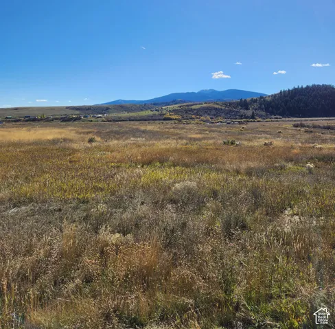 Expansive open acreage featuring native vegetation and prominent mountain range backdrop