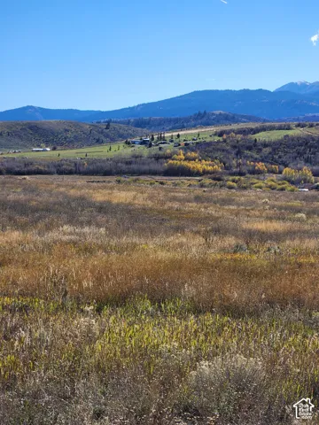 Expansive open acreage featuring native grasses, mature trees, and a mountain range backdrop