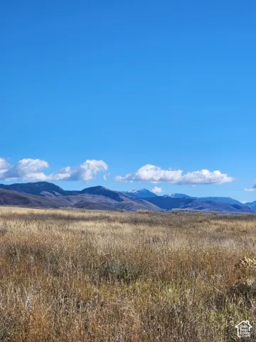 Expansive open acreage featuring native grasses and a prominent mountain backdrop