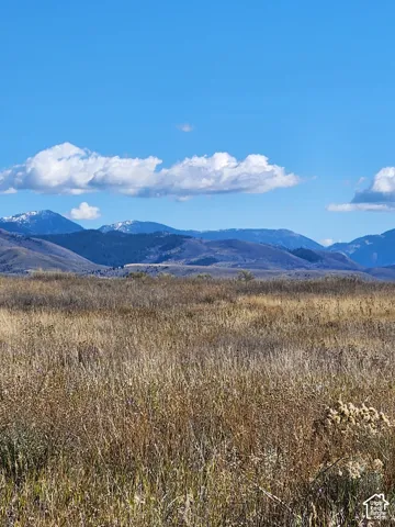 Expansive open acreage featuring native grasses and a prominent backdrop of mountain ranges