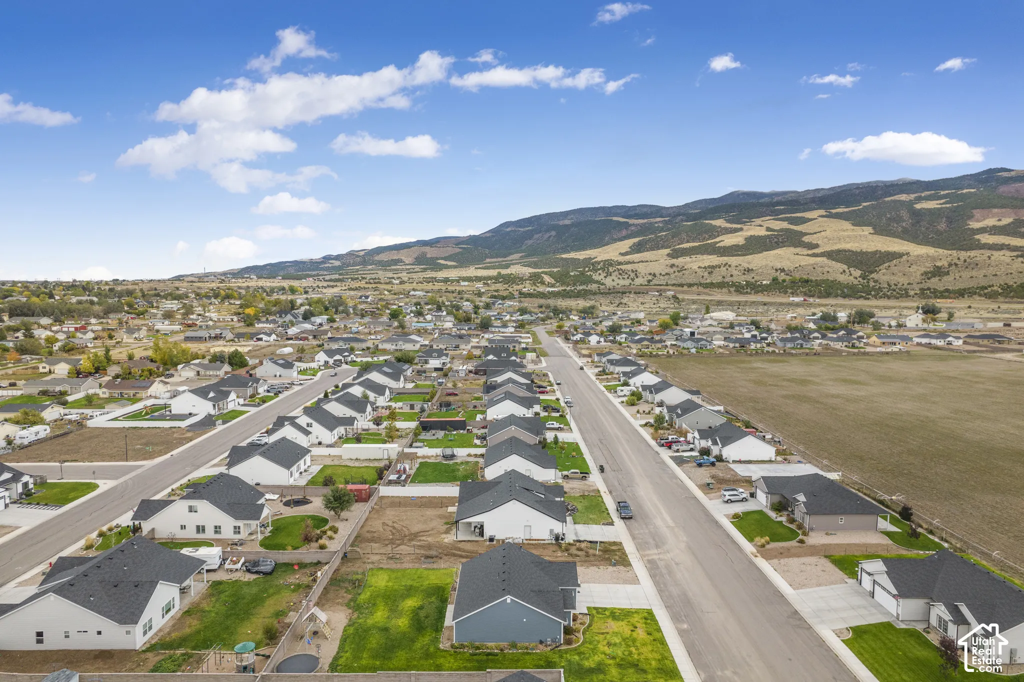 Aerial View of Neighborhood