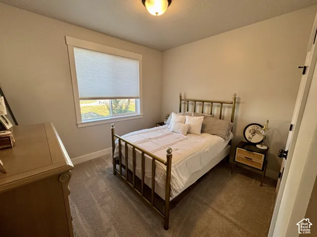 Neutral wall color, carpeted flooring, large window with blinds, and flush-mount ceiling lighting