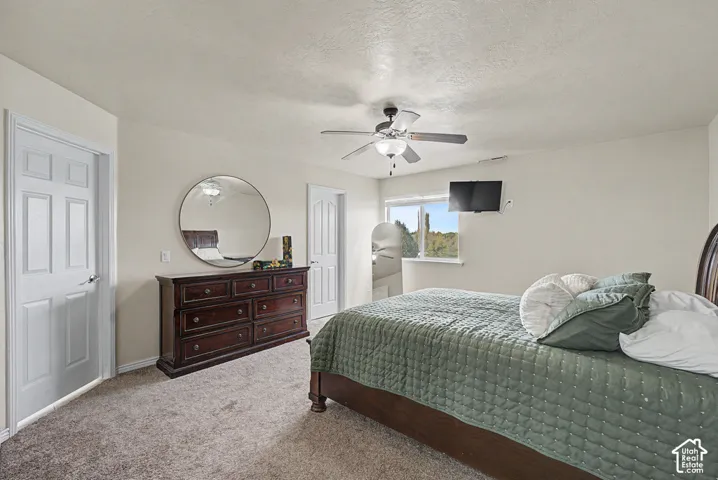 Carpeted room featuring a ceiling fan, window with exterior scenery, and light-colored walls