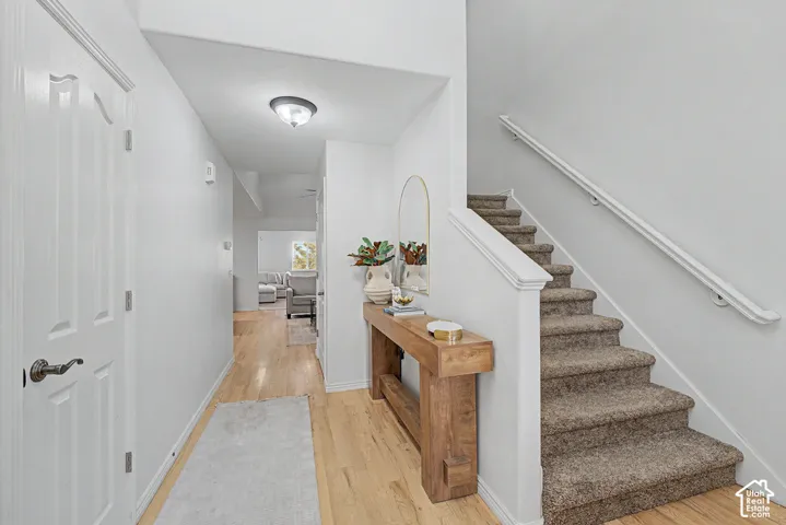 Light wood-finish flooring, white paneled interior doors, and a carpeted staircase with white handrails
