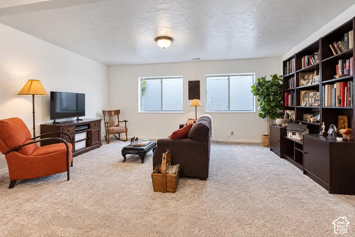Spacious room featuring neutral carpeting, dual slider windows, and wall-to-wall built-in dark wood shelving units