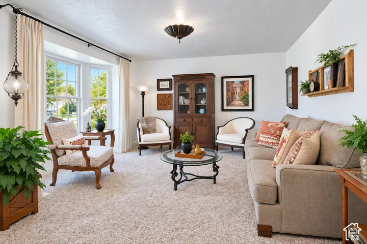 Living area featuring a bay window, neutral wall-to-wall carpeting, and a central ceiling-mounted light fixture