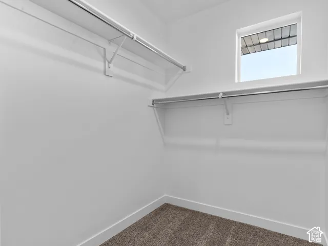 Storage area featuring wall-to-wall carpeting, dual-tier metal shelving, and a square window