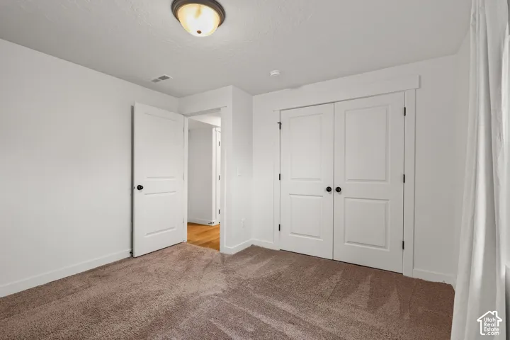Neutral interior featuring wall-to-wall carpeting, two-panel interior doors, double-door closet with trim casing, and a flush-mount ceiling light fixture