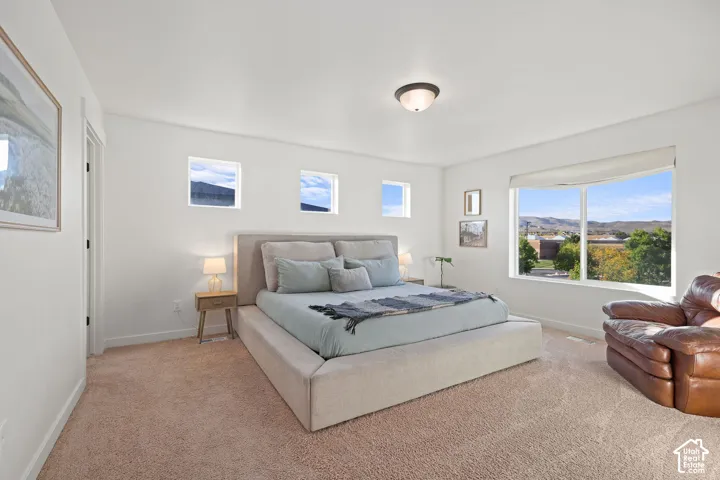 Neutral-toned bedroom featuring carpeting, large picture windows, three square upper-wall windows, and a ceiling-mounted light fixture