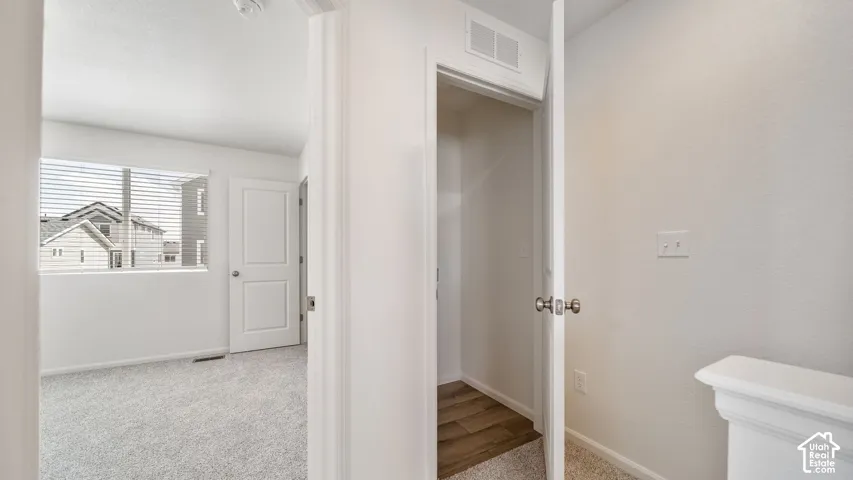 Interior space featuring neutral wall tones, carpeted flooring, two-panel interior doors, and a reach-in closet with wood-finish flooring