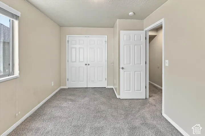 Neutral-toned interior featuring wall-to-wall carpeting, dual-panel closet doors, and a six-panel passage door