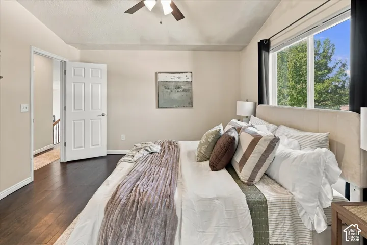 Vaulted ceilings with a central ceiling fan, dark wood-finish flooring, and large window with natural light