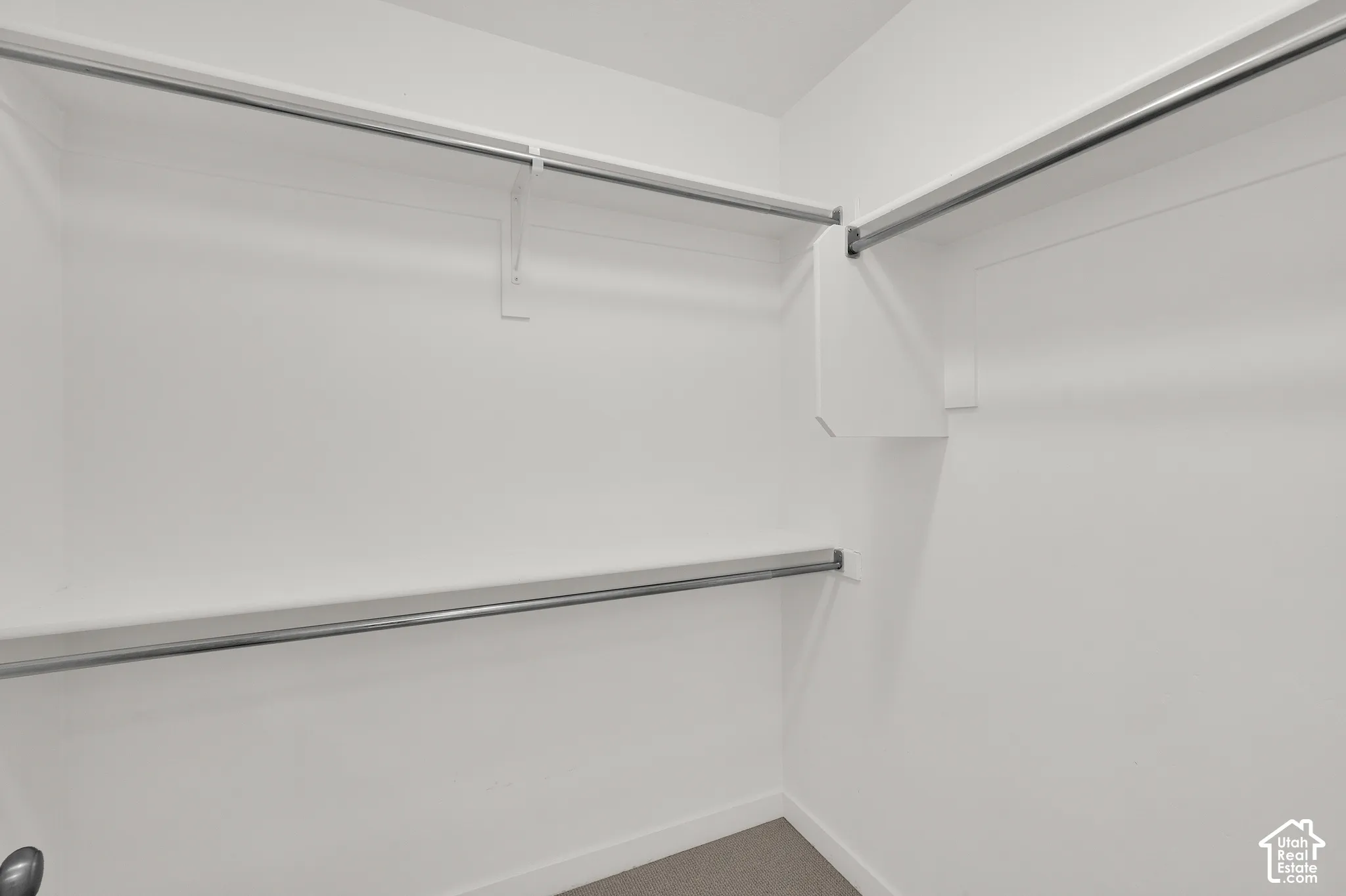 Walk-in closet featuring dual-level hanging rods, built-in shelving, and neutral carpeting