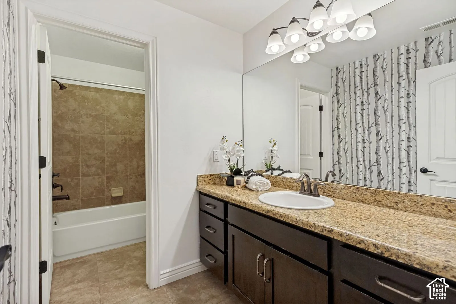 Bathroom featuring a vanity with stone-finish countertop, undermount sink, and dark-toned cabinetry, paired with a full-width wall mirror and six-light vanity fixture
