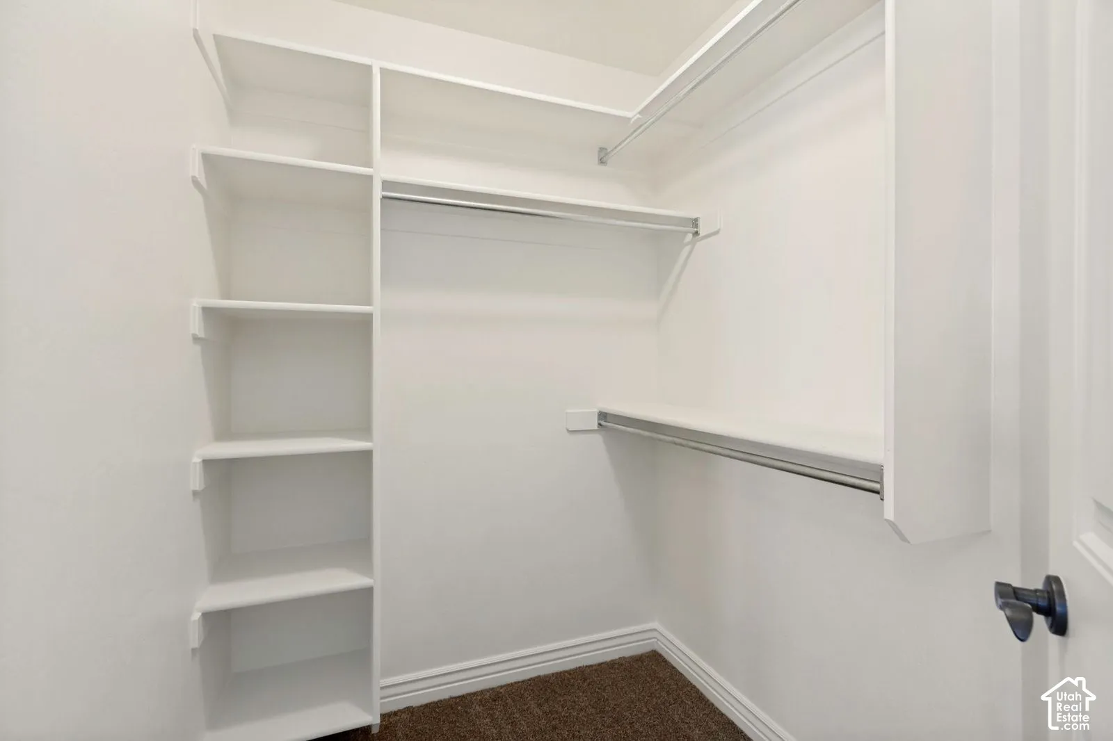 Walk-in closet featuring white built-in shelving, dual hanging rods, and carpeting
