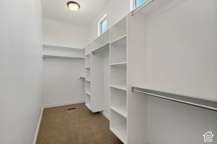 Walk-in closet featuring white built-in shelving, high-set windows for natural light, wall-mounted hanging rods, and carpeting