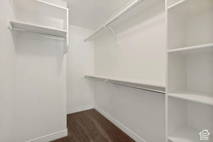 Walk-in closet featuring white built-in shelving, integrated hanging rods, and carpeted flooring