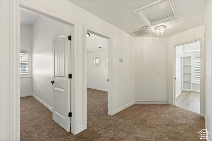 Interior hallway featuring neutral carpeting, multi-panel doors with matte black hardware, recessed ceiling lighting, and built-in shelving