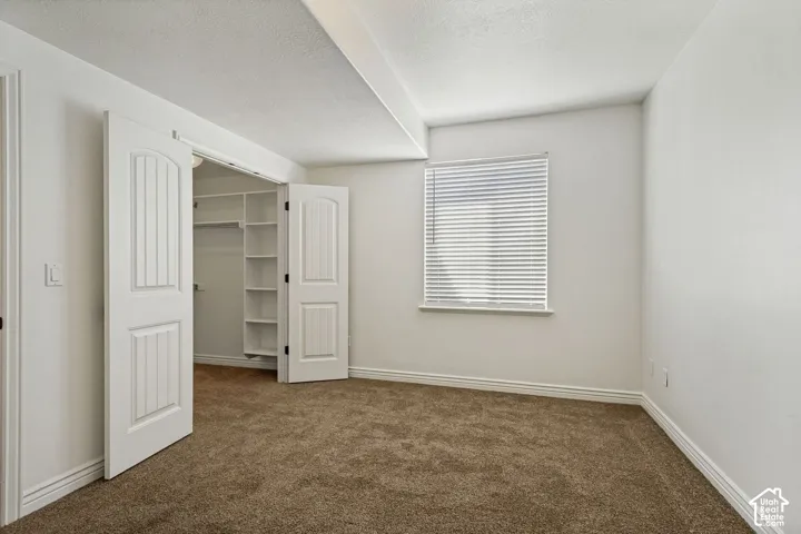 Neutral-toned carpeting, dual-panel interior doors, and a walk-in closet with built-in shelving