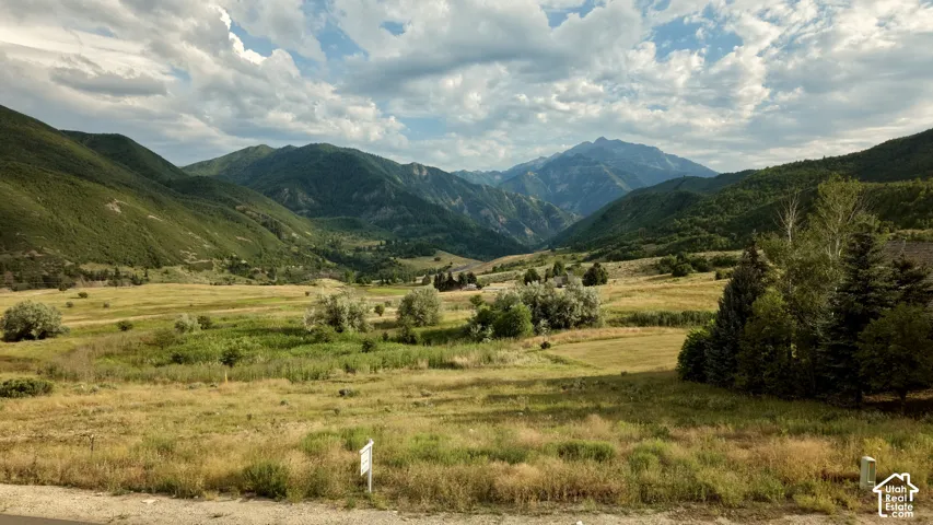 Expansive acreage featuring mountainous terrain, rolling meadows, mature evergreen trees, and native grasses