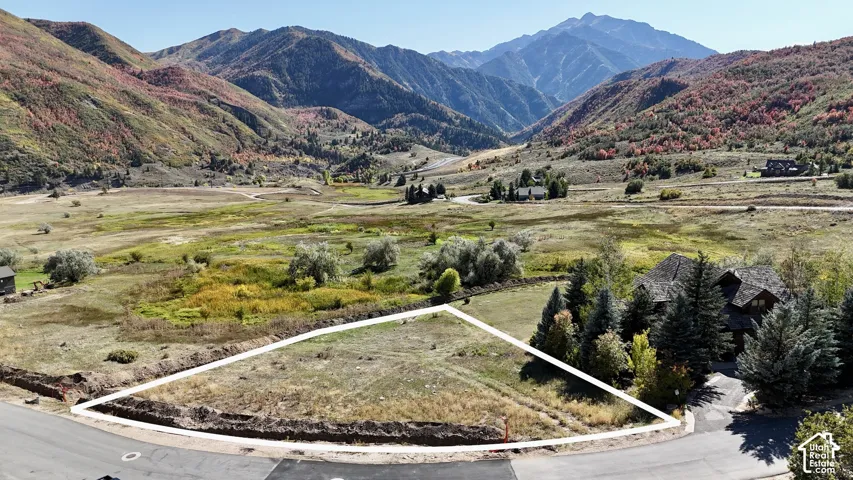 Vacant land parcel featuring mountain range scenery, native vegetation, and established coniferous trees