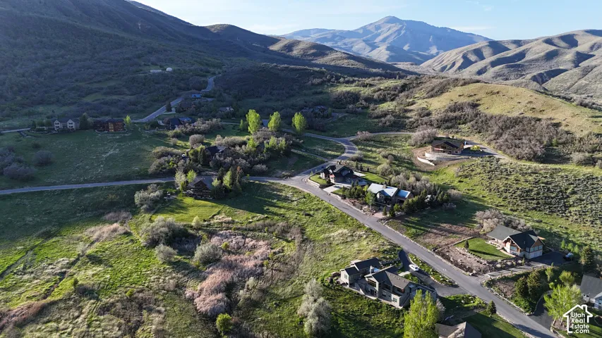 Aerial perspective of expansive residential acreage featuring mature trees, native landscaping, asphalt street access, and mountain topography