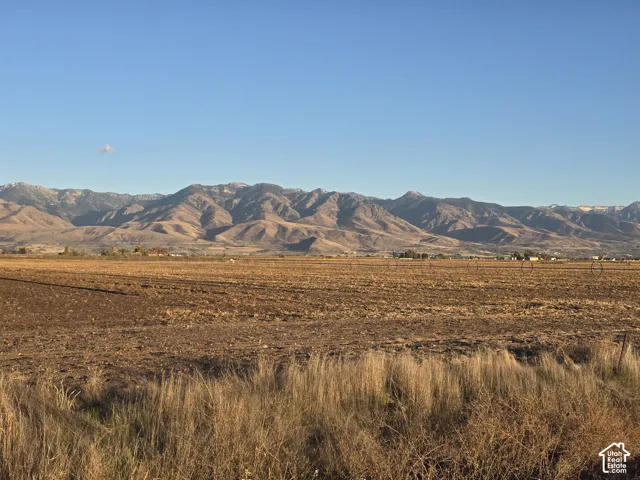 Expansive open acreage featuring mountain range backdrop and natural grasses