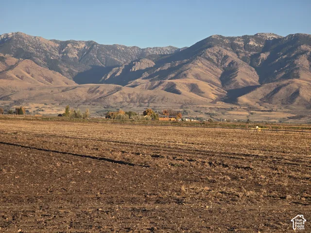 Expansive acreage featuring prominent mountain backdrop