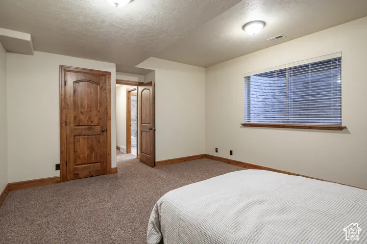 Interior room featuring neutral carpeting, arched-panel solid wood doors, matching wood trim, and a window with a stone-textured window well