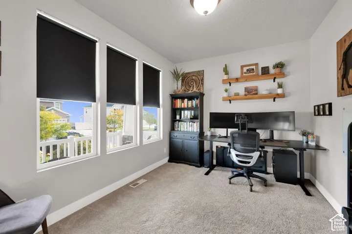 Neutral wall tones, carpeting, triple-window configuration, and wall-mounted shelving