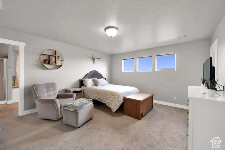 Neutral-toned walls, high-set horizontal windows, wall-to-wall carpeting, and a flush-mount dome ceiling light fixture