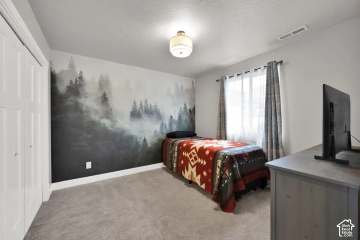Room featuring neutral carpeting, a forest-motif accent wall, dual-panel closet doors, and a central semi-flush mount light fixture