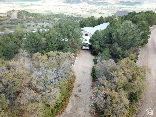 Gravel driveway leading to a metal-roofed residence surrounded by mature trees and natural landscape