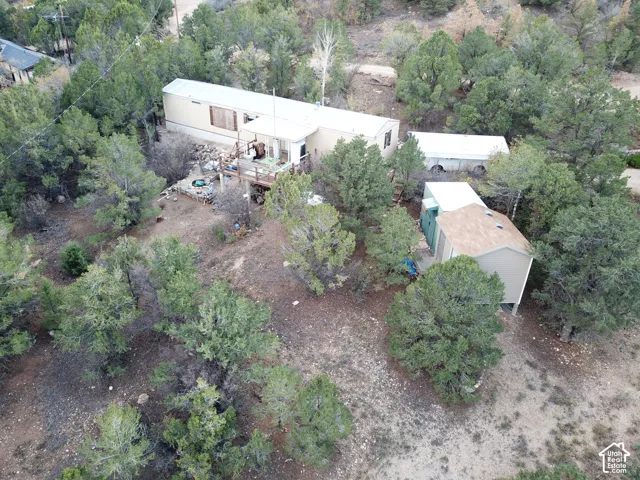 Aerial view featuring a multi-structure property surrounded by mature evergreen trees, raised exterior decking, and a sloped, natural landscape