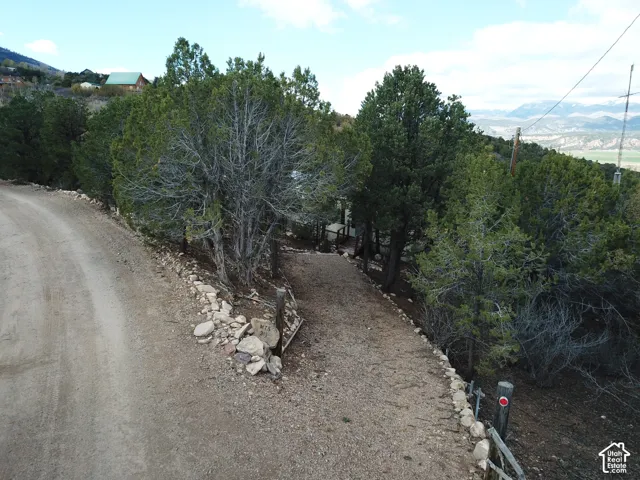 Gravel driveway featuring stone retaining borders and mature juniper trees with a mountainous backdrop
