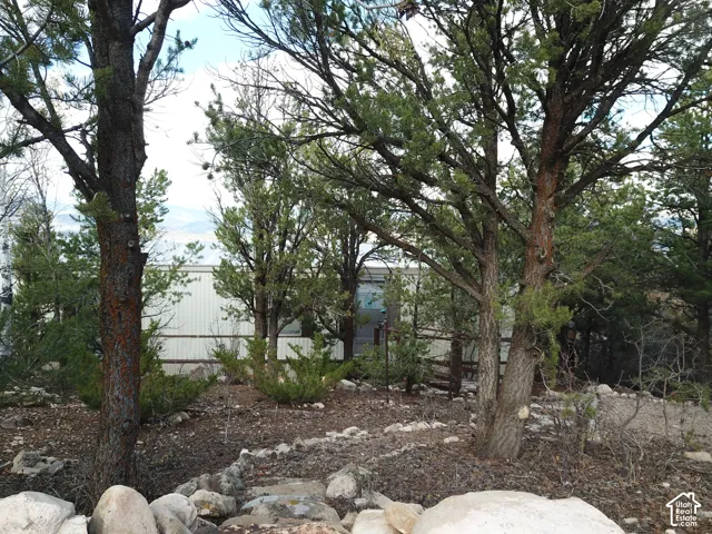 Natural landscape featuring mature evergreen trees, native shrubs, and stone border elements