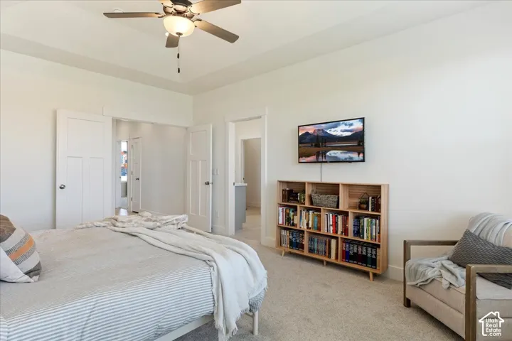 Tray ceiling with a central ceiling fan, two-panel interior doors, and neutral wall-to-wall carpeting