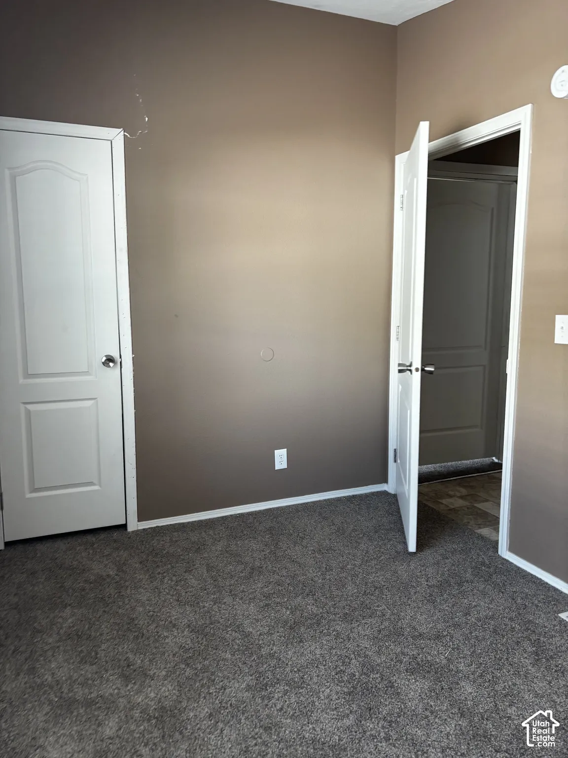 Interior space featuring neutral-tone walls, gray carpeting, and two white panel doors with metallic hardware