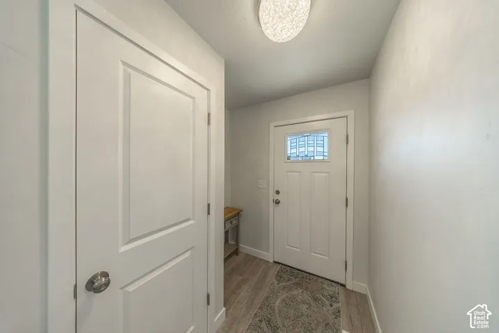 Entryway featuring wood-finish flooring, a white paneled door with an integrated window, and a circular flush-mount ceiling light fixture
